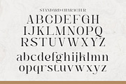 Angela Blissful - Modern Elegant, a Serif Font by Shakira Studio (Thumbnail 9 of 10)
