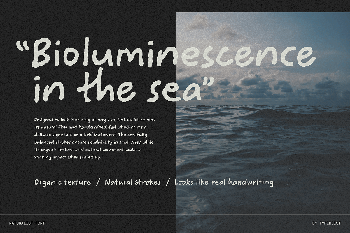 Naturalist Simple Handwriting Font, a Handwritten Font by TYPEHEIST (Photo 10 of 12)