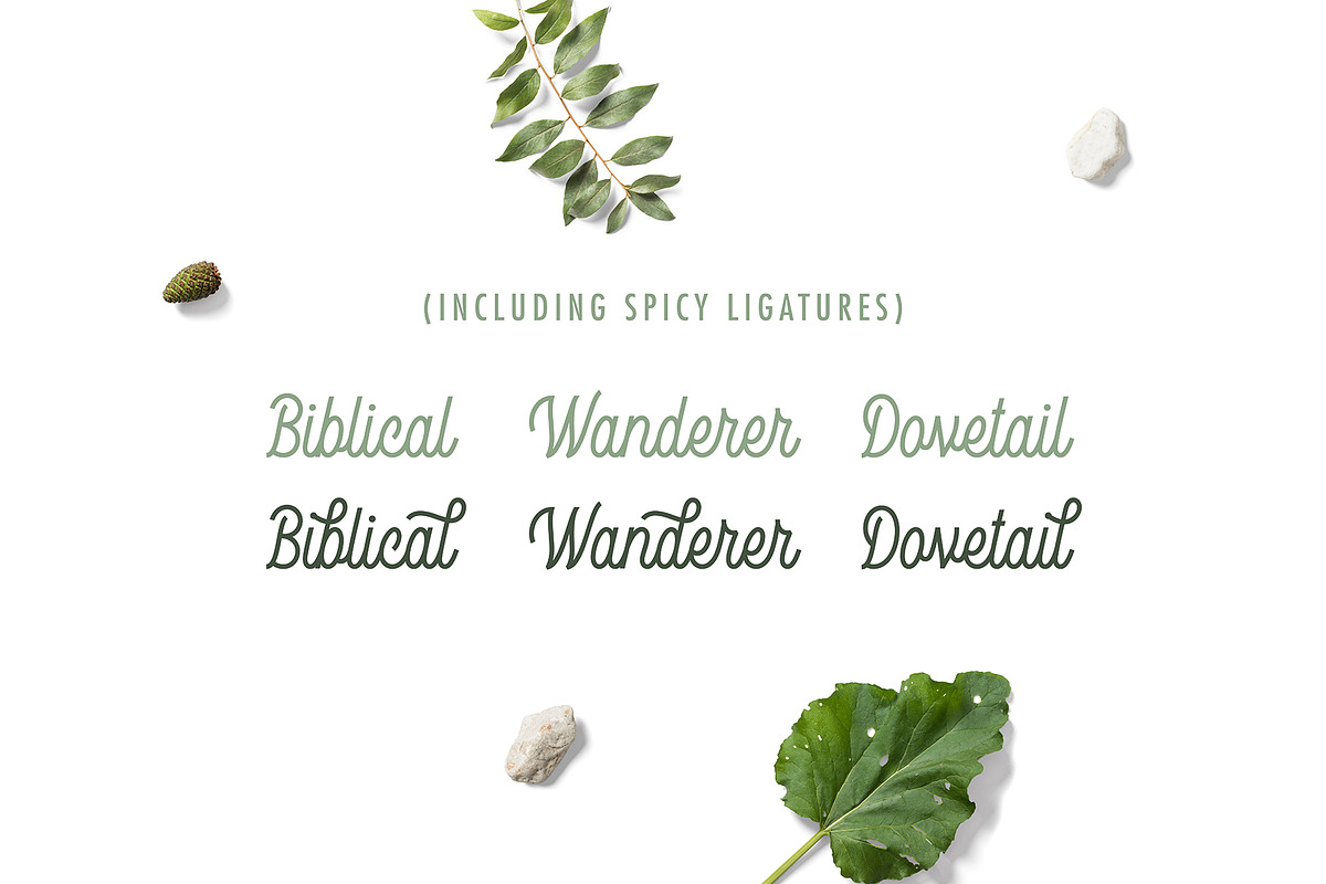 Kanto Script | A Monoline Typeface preview 2