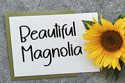 Lemoncake Homemade, a Script Font by FreshTypeINK (Thumbnail 8 of 8)