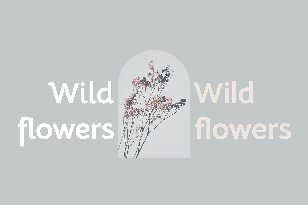 Hidal | Modern Sans Family, a Sans Serif Font by Creative Foundry (Photo 4 of 9)