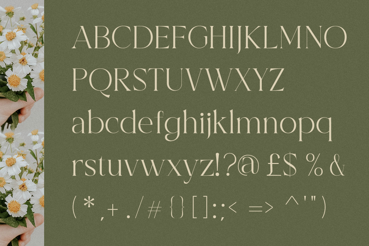 Bercarets - Elegant Serif Font, a Serif Font by RockboyStd (Photo 9 of 12)