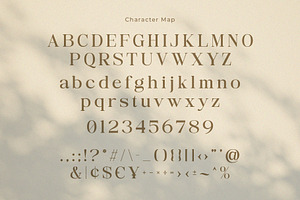 Singlest - Sophisticated Serif