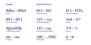Cattigan, a Serif Font by Hoftype (Thumbnail 11 of 15)