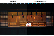Cinegraphy Presets & Actions, an Action Add-On by Effect-Hub (Thumbnail 17 of 19)