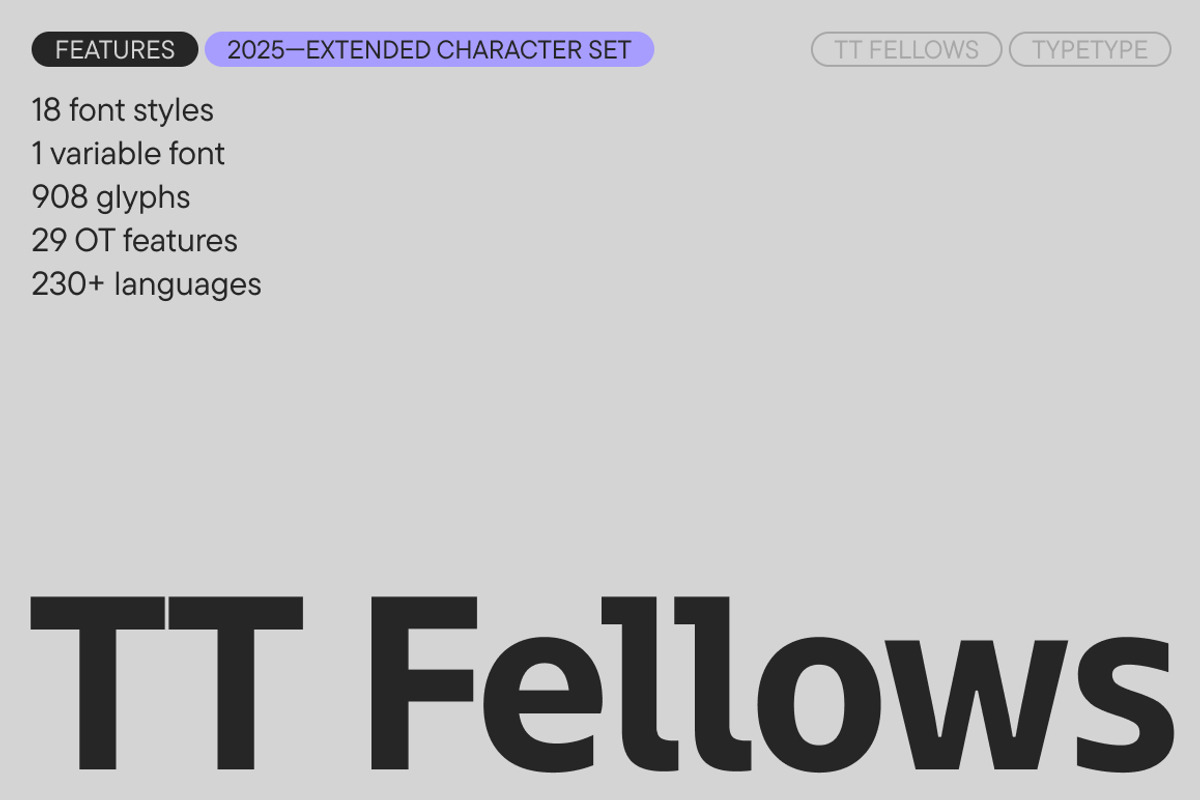 TT Fellows, a Sans Serif Font by TypeType (Photo 1 of 15)