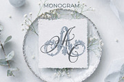 AA Wedding Monogram Logo, a Branding & Logo Template by LogoAV (Thumbnail 9 of 11)