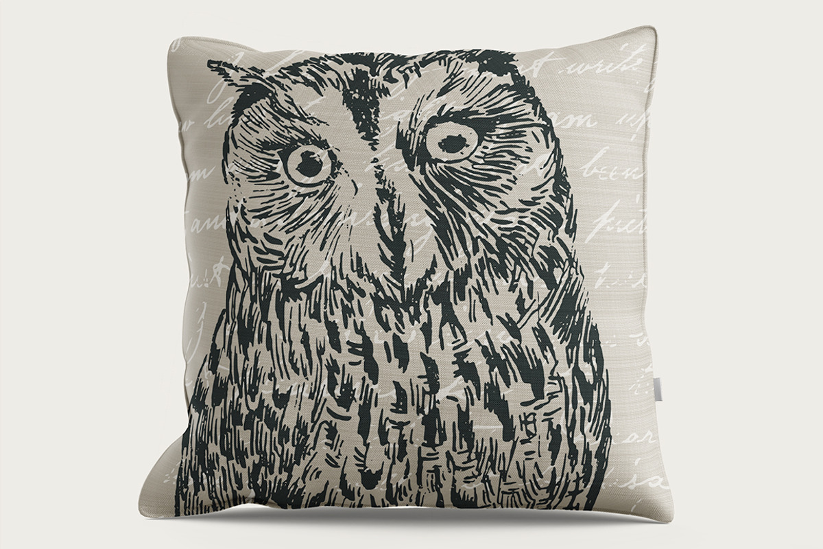 15 Owl Illustrations, an Animal Illustration by The Rusty Press (Photo 3 of 3)