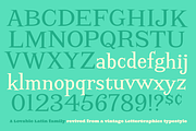 Screwby Regular Family, a Serif Font by Pink Broccoli (Thumbnail 3 of 3)