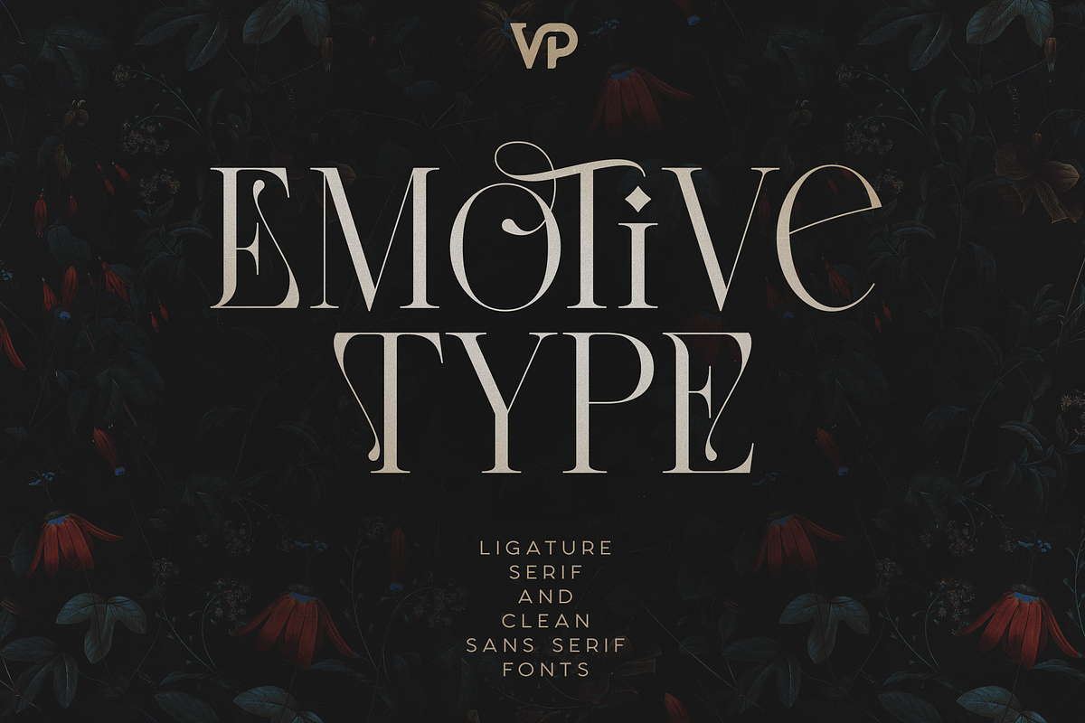 Emotive Type - creative font duo, a Serif Font by VP Fonts (Photo 1 of 17)