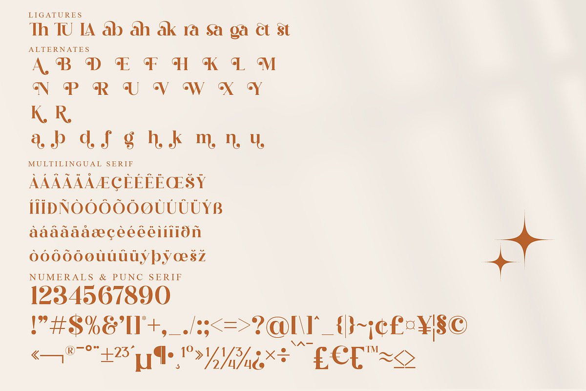 Megasta Signateria Font Duo Typeface, a Serif Font by Storytype Studio (Photo 13 of 15)