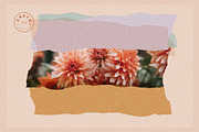 Cutout - Backgrounds, Shapes + Logos, a Texture Graphic by Basia Stryjecka (Thumbnail 18 of 22)