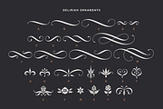 Delirian Script & Ornaments, a Script Font by Andrey Sharonov (Thumbnail 15 of 16)