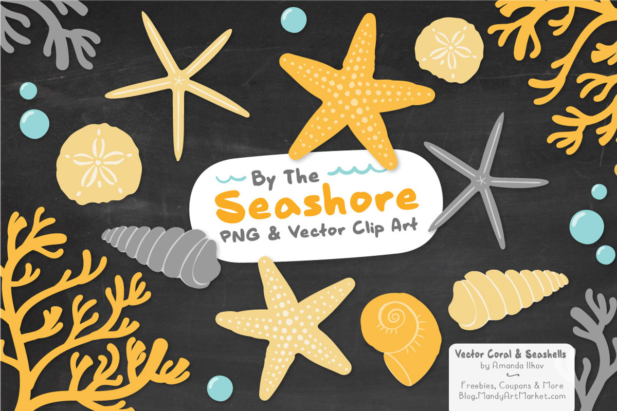Sunshine Vector Seashells, an Illustration by Amanda Ilkov (Photo 3 of 5)