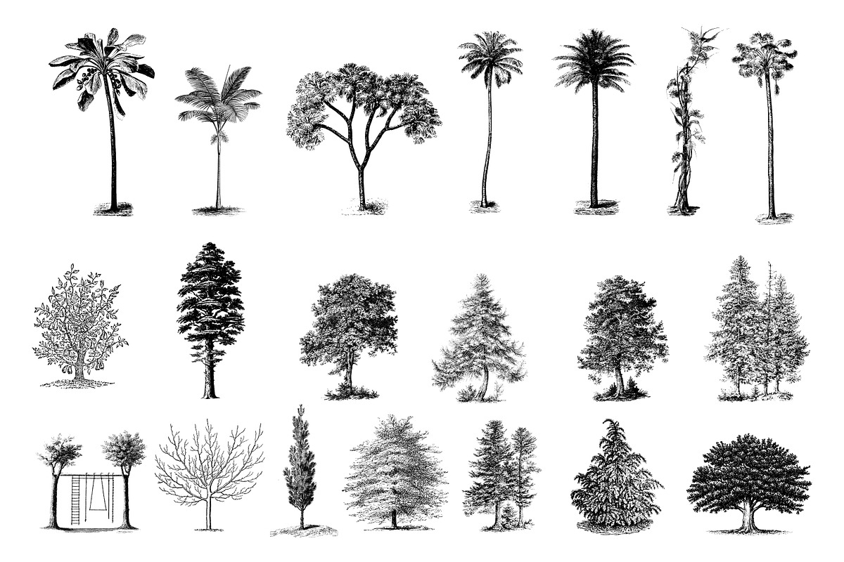 Landscape Vintage Illustrations, an Education Illustration by hypegraphic (Photo 3 of 5)