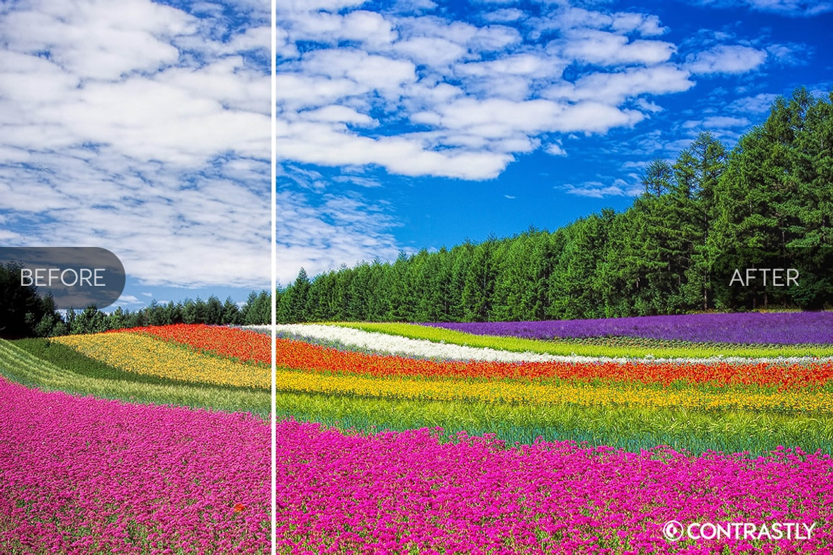 Spring Breeze Lightroom Presets, an Action Add-On by Contrastly Shop (Photo 4 of 4)