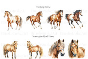 Horse Breeds Clipart, Appaloosa PNG, an Animal Illustration by BrushstrokeArtGB (Thumbnail 6 of 9)