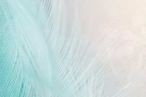 Pastel Feathers 
