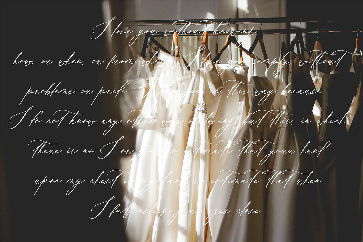 Wonder Garden | Latin&Cyrillic Font, a Script Font by Calamar Studio (Photo 14 of 16)
