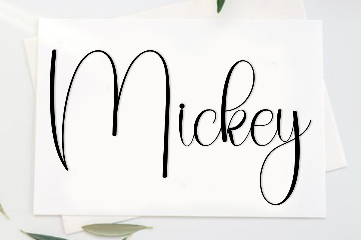Wedding Bride, a Handwritten Font by FreshTypeINK (Photo 8 of 8)