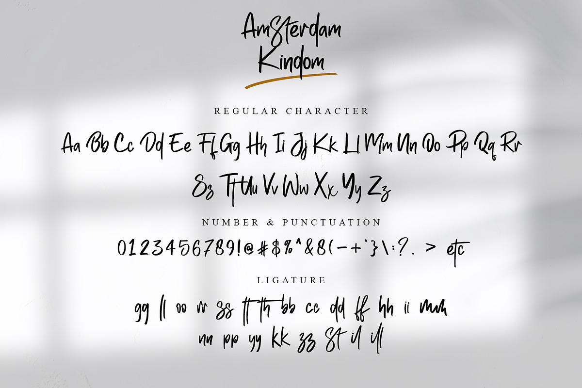 Amsterdam Kingdom, a Script Font by Letterara (Photo 6 of 8)