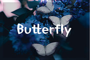 Momo, a Script Font by edcreative (Thumbnail 3 of 7)