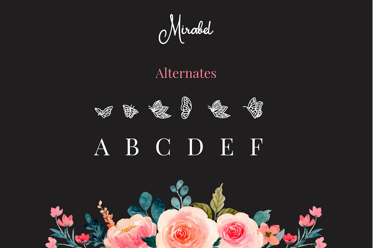 Mirabel, a Script Font by Helotype (Photo 3 of 6)