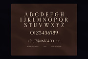Healty Home Elegant Serif Font, a Serif Font by Graphicxell (Thumbnail 8 of 8)