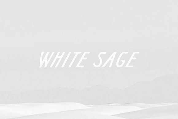 White Sage preview 4