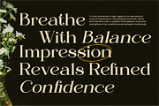 Regani - Modern Serif Typeface, a Serif Font by NexaLine (Thumbnail 5 of 10)