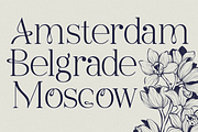 Ralmone Modern Display Serif Font, a Serif Font by Rasio Studio (Thumbnail 3 of 10)