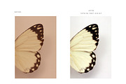 Foto Rx First Aid Kit, an Action Add-On by Foto Rx Co. (Thumbnail 2 of 7)