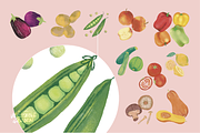 My Little Vegetable Garden, a Food Illustration by Sara Zanello (Thumbnail 4 of 13)