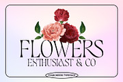 Starcheers - Unique Display, a Serif Font by Mokatype Studio (Thumbnail 2 of 10)