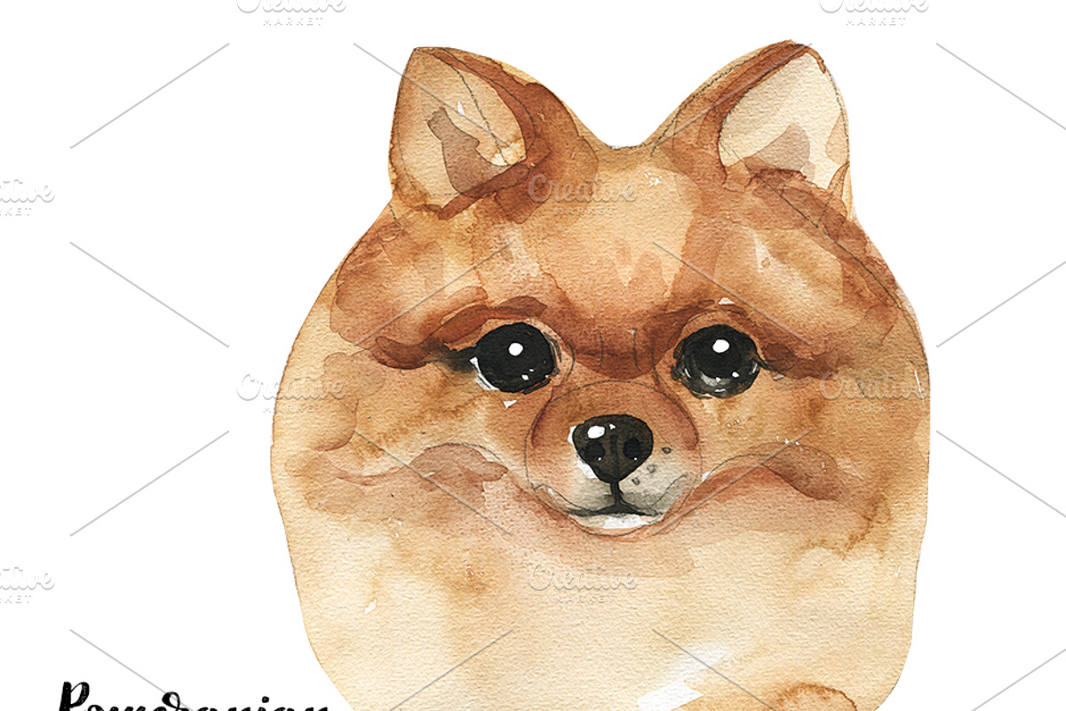 Breeds of dogs - watercolor. Part 2, an Animal Illustration by KatBranchArt (Photo 2 of 5)