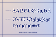 Alurane Elegant Display Serif Font, a Serif Font by Rasio Studio (Thumbnail 5 of 10)