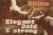 Rhino - Display Font, a Serif Font by JumboDesign (Thumbnail 3 of 5)