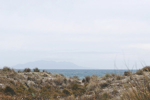 Neutral Tones Beach Landscape Photo
