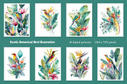 Exotic Botanical Bird Illustration, a Decorative Illustration by Housui Patterns (Thumbnail 2 of 12)