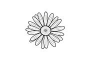 Daisy Flower Line Art Vector Bundle0, an Illustration by jahid234 (Thumbnail 44 of 51)