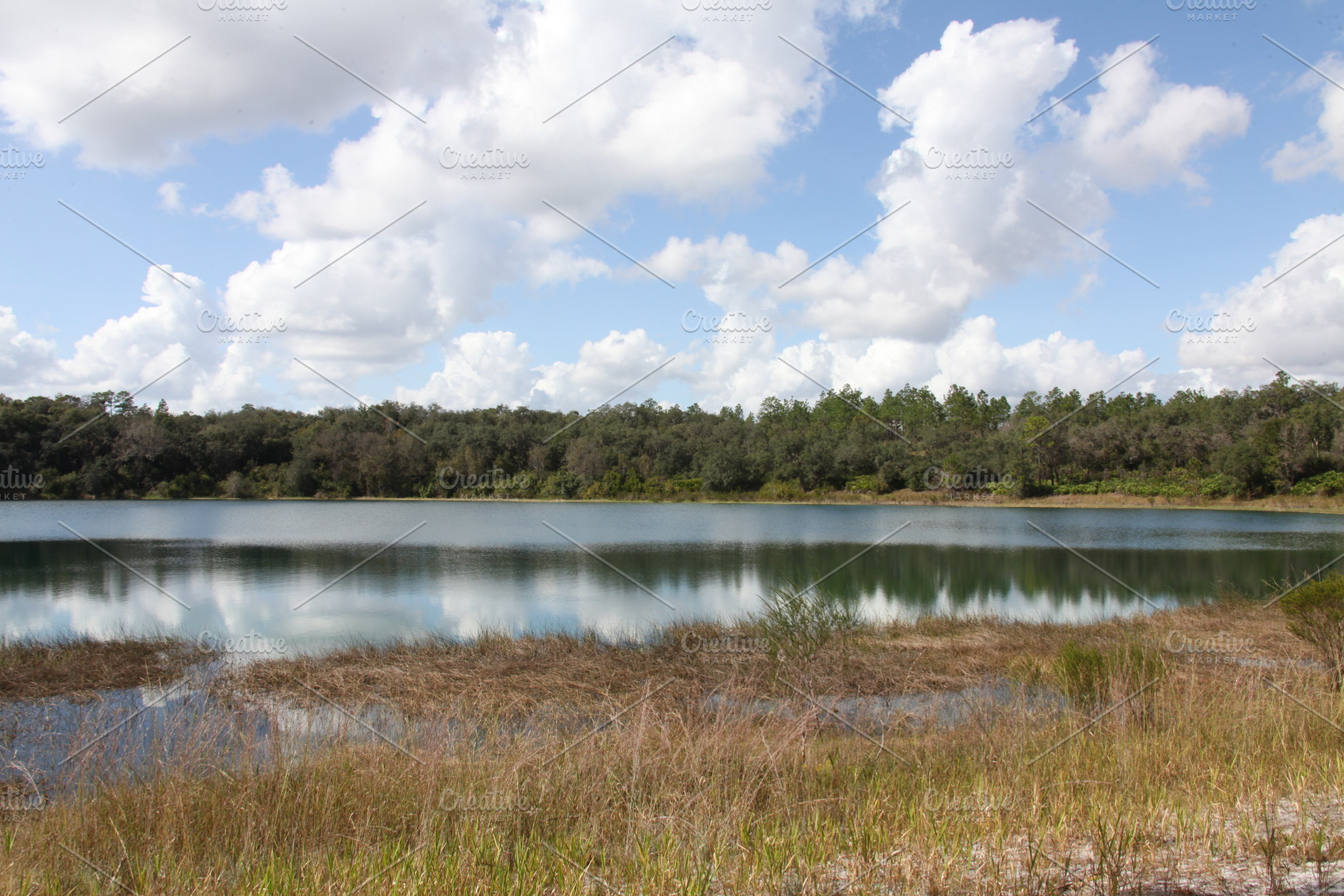 Lake in Gold Head Branch State Park, a Nature Photo by Viktor