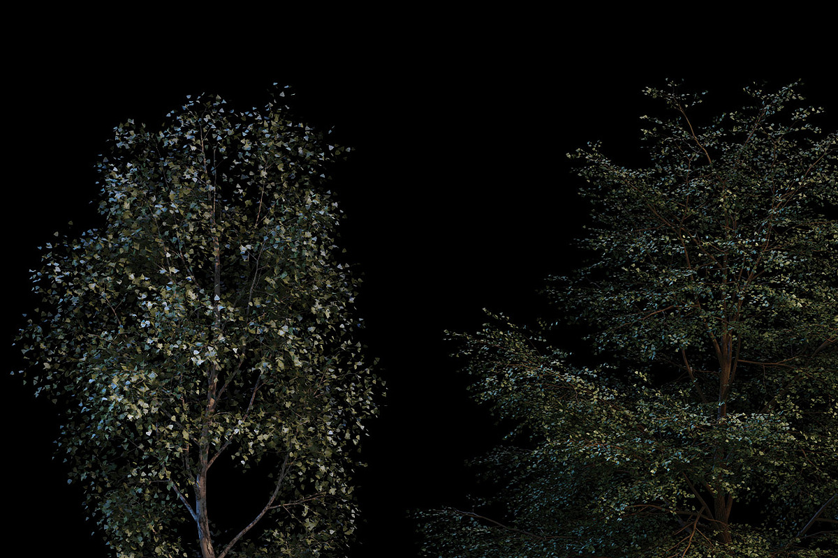 Artistic Nature Mockup #01, a Product Mockup by ARKS ACADEMY (Photo 5 of 11)