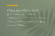 Verdant Botanika | Hand Drawn Script, a Handwritten Font by gracetype_studio (Thumbnail 11 of 12)