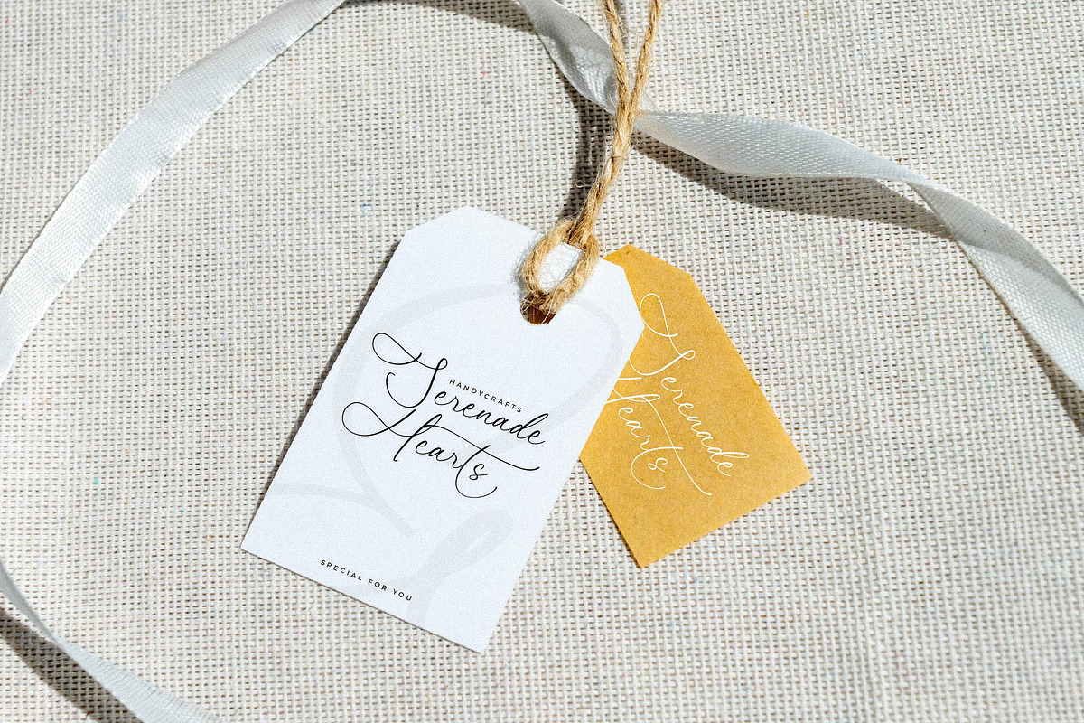 Promises Gisttela Font Duo, a Serif Font by Storytype Studio (Photo 4 of 15)