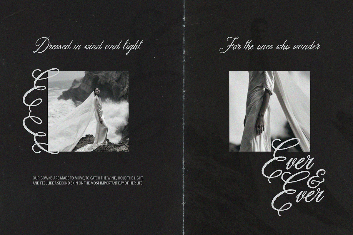 The Lone Muse Romantic Script Font, a Script Font by AnMark (Photo 2 of 11)