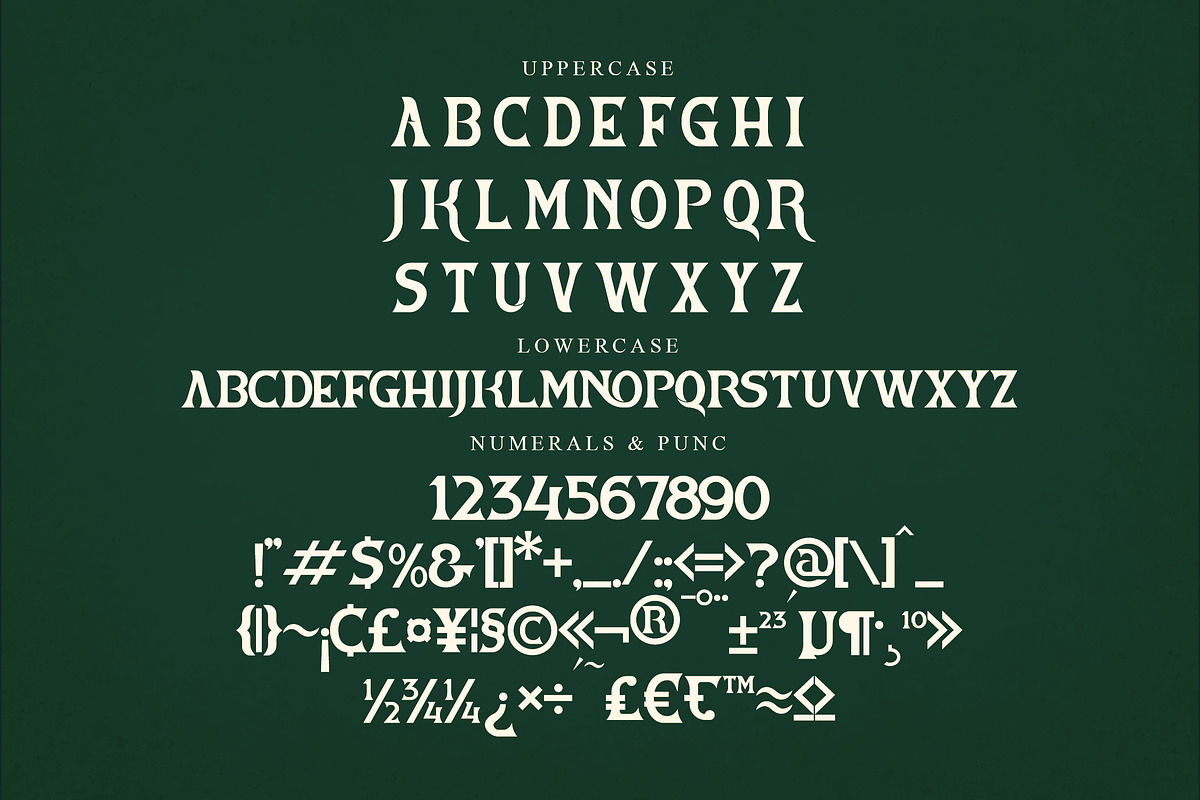 Vestovia Display Serif Font, a Sans Serif Font by Storytype Studio (Photo 13 of 15)