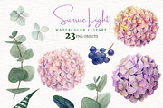 Floral Watercolor Bundle, an Object Graphic by JSolomatina (Thumbnail 6 of 23)
