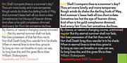 Exec Demiserif, a Serif Font by Wiescher-Design (Thumbnail 6 of 10)