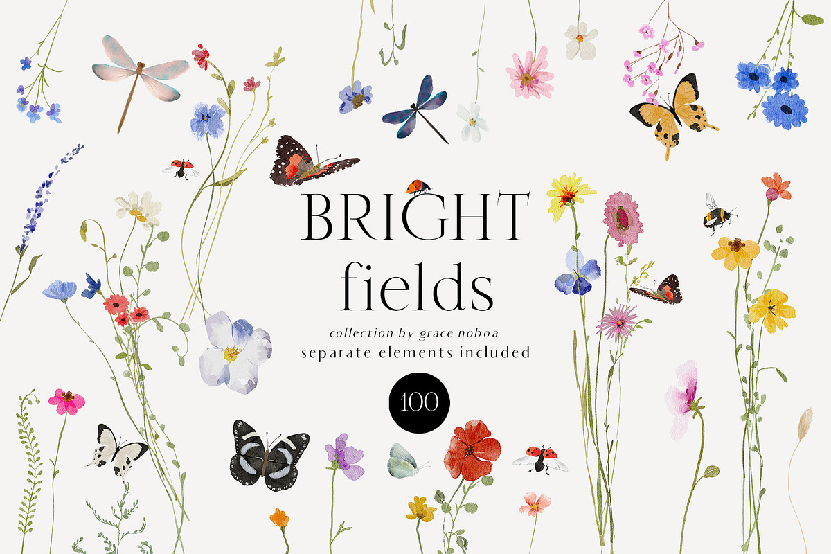 Watercolor Bright wildflowers set, a Decorative Illustration by Grace Noboa Illustrations (Photo 7 of 11)