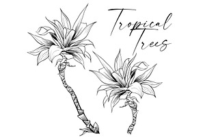 Palm Trees Tropical Vector Plants